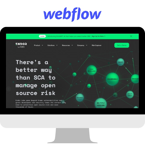 Webflow-Website-developed